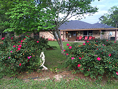 Click to Enlarge